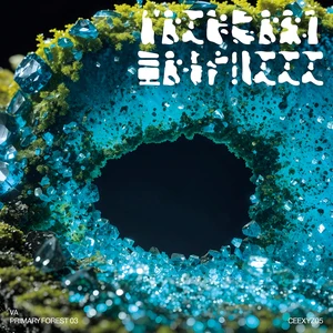 Various - Primary Forest 03 (New Vinyl)