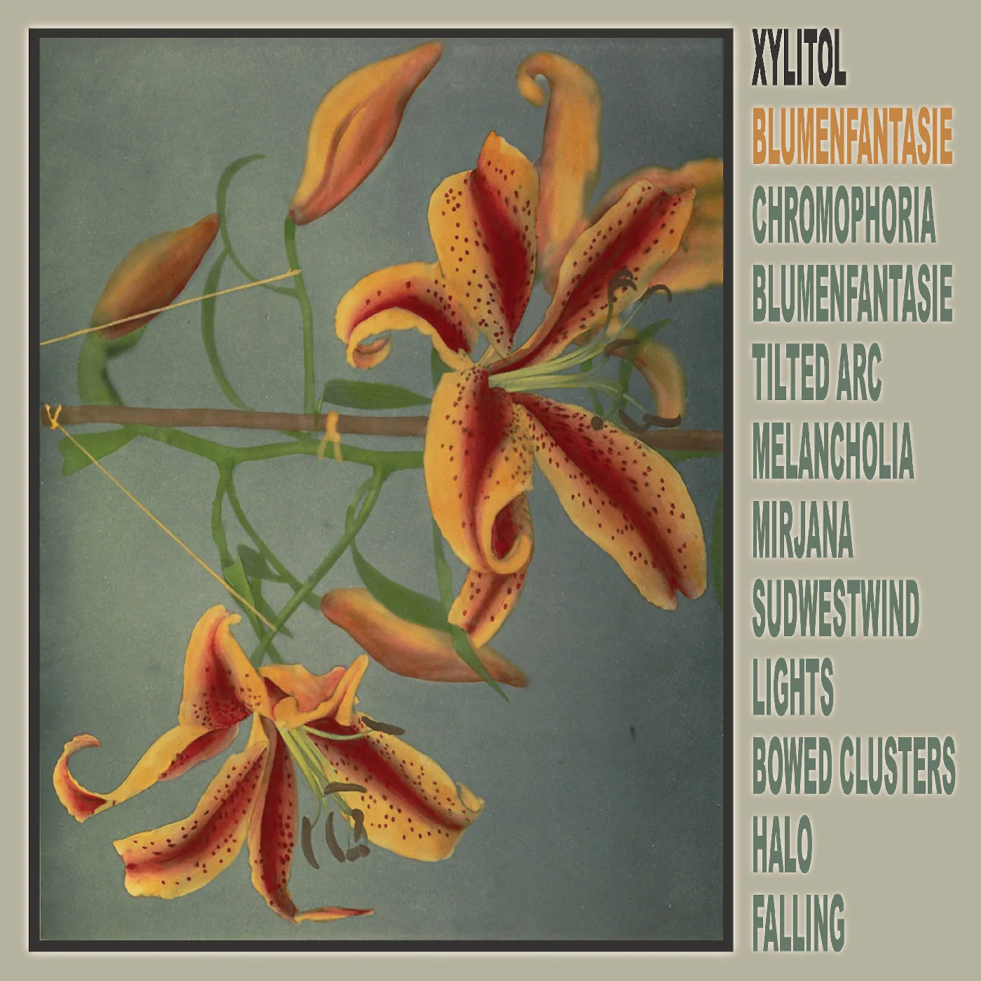 Xylitol - Blumenfantasie (New Vinyl)
