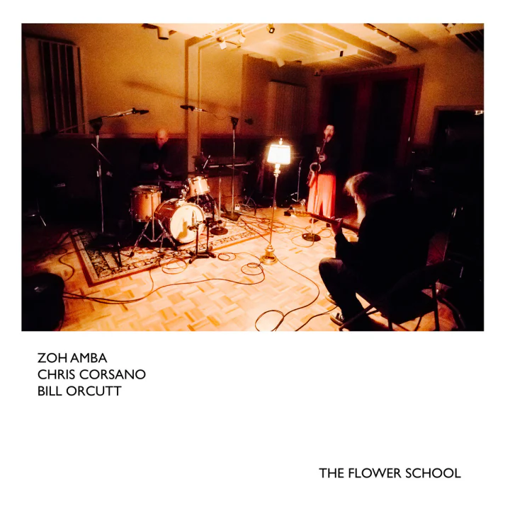Zoh Amba, Chris Corsano, Bill Orcutt - The Flower School Palilalia (New CD)